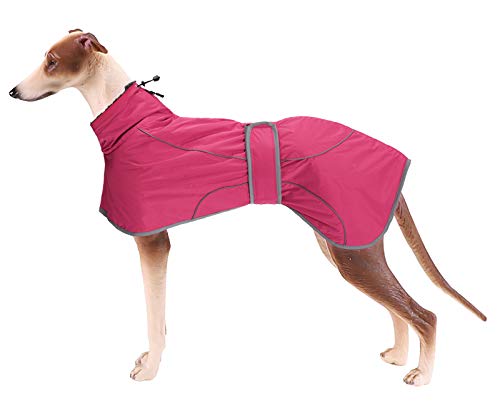 Morezi Windhund-Wintermantel, Whippet-Mantel mit gepolstertem Fleece-Futter, Wasserabweisende Hundejacke mit verstellbaren Bändern und reflektierenden Elementen-Pink-S von Morezi