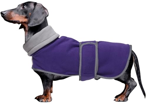 MOREZI Winterhundejacke mit wattiertem Flusenfutter, verstellbarem Klettknopf und hochklappbarem Stehkragen. Sehr gut geeignet für Dackel und kleine und mittelgroße Jagdhunde-Lila-S von Morezi
