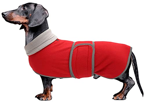 MOREZI Winterhundejacke mit wattiertem Flusenfutter, verstellbarem Klettknopf und hochklappbarem Stehkragen. Sehr gut geeignet für Dackel und kleine und mittelgroße Jagdhunde-Rot-L von Morezi