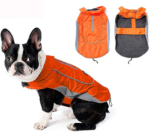 MOREZI Winterhundemantel mit wasserdichter Außenschicht und Flusenfutter. Mit Sicherheitsschnalle und Klettverschluss, größenverstellbar, einfach an und auszuziehen-Orange-XS von Morezi