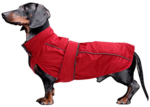Morezi Dachshund Regenmantel, wasserdichte Außenschicht, Fleecefutter, reflektierende Besätze, Verstellbarer Gürtel - geeignet für kleine und mittelgroße Hunde-Rot-XS von Morezi