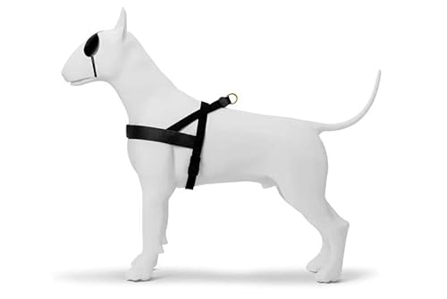 MORSO norwegisches Geschirr für Hund recyceltes Gold kaviar Gold MORSO norwegisches Geschirr für Hund recyceltes Gold kaviar Gold von MORSO