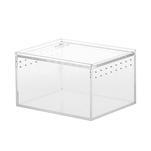 Transparente Reptilien-Zuchtbox, Acryl-Kunststoff-Schiebedeckel-Typ Futterbox mit 2 Größen, Reptilien-Terrarium mit großer Kapazität für Gecko-Bartdrachen-Eidechsen-Spinnen-Frosch-Skorpion von Moslate