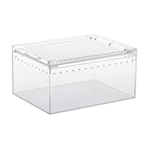 Transparente Reptilien-Zuchtbox, Acryl-Kunststoff-Schiebedeckel-Typ Futterbox mit 2 Größen, Reptilien-Terrarium mit großer Kapazität für Gecko-Bartdrachen-Eidechsen-Spinnen-Frosch-Skorpion von Moslate