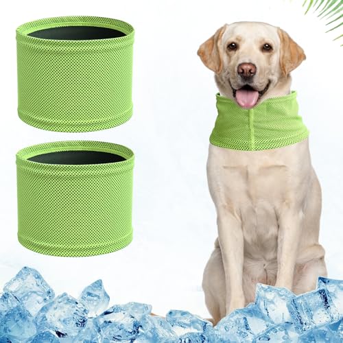 Mosucoirl Kühlhalsband für Hunde,Kühlendes Halstuch für Haustiere Atmungsaktives Hundehalstuch Weiches kühlendes Hundekopftuch Geeignet für Hunde und Katzen im Sommer drinnen und draußen(Grün, M) Mosucoirl Kühlhalsband für Hunde,Kühlendes Halstuch für Haustiere Atmungsaktives Hundehalstuch Weiches kühlendes Hundekopftuch Geeignet für Hunde und Katzen im Sommer drinnen und draußen(Grün, M) von Mosucoirl