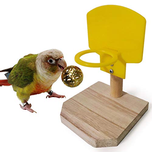 Mothcattl Papageien-Puzzle für geistige Entwicklung, Spielzeug, Mini-Korb, Basketballständer, Lieferung mit 3 Bällen, Gold und Silber zufällig von Mothcattl