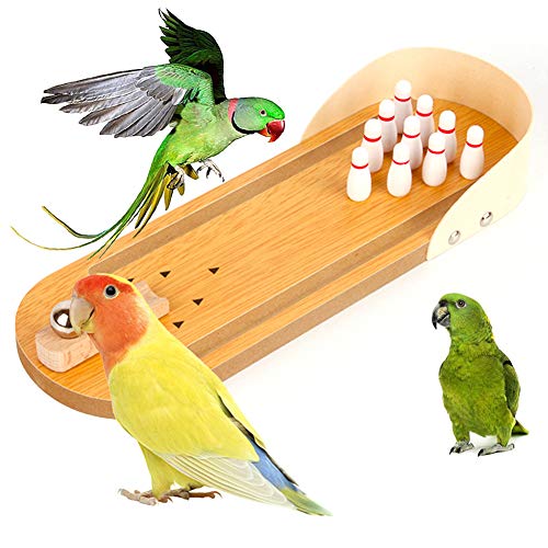 Mothcattl Pädagogisches Spielzeug für Papageien, aus Holz, Bowling-Tisch, Lernspielzeug, Holzfarbe von Mothcattl