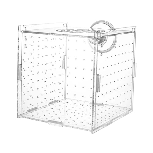 MotiveTech Zuchtbox, Acryl Isolationsbox Zur Zucht Kranker Tiere, Trennvorrichtung für Kampfgarnelen Und Kleine Jungfische, Einzelzimmer MotiveTech Zuchtbox, Acryl Isolationsbox Zur Zucht Kranker Tiere, Trennvorrichtung für Kampfgarnelen Und Kleine Jungfische, Einzelzimmer von MotiveTech