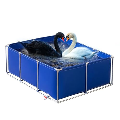 Moubhjd Fischteichreservoir,Fischschauwassertank mit Edelstahlrohren,Zierschwimmbecken für Aquarien mit Ablassventil, mit Abfluss(Größe:L100xW100xH50cm) von Moubhjd