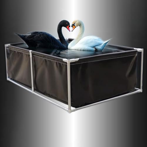 Moubhjd PVC Aquarium Poolteich für den Außenbereich mit Ablassventil,temporärer Sammelbehälter für Koi,Schildkröten und Salzwasserfische,langlebiger Wasserspeicher Planenpool(Größe:L200xW300xH70cm) Moubhjd PVC Aquarium Poolteich für den Außenbereich mit Ablassventil,temporärer Sammelbehälter für Koi,Schildkröten und Salzwasserfische,langlebiger Wasserspeicher Planenpool(Größe:L200xW300xH70cm) von Moubhjd
