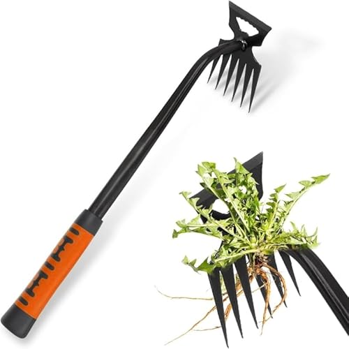 Mounteps 5/6/11-Zahn Hand Unkraut Weeding Werkzeug Unkraut Puller Entferner Digger Rake Hoes (Schwarz-6 Zähne) von Mounteps
