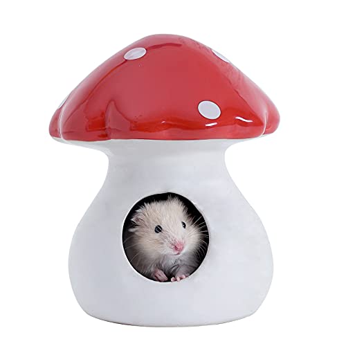 MouseBro Keramik Hamsterversteck, Rennmaus-Versteck, Hamsterhaus, Rennmaus-Haus mit Waldpilzform für Zwerg Robo syrische Hamster Mäuse Ratten oder andere kleine Tiere von MouseBro