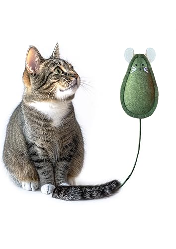 Mox Petish Katzenminze Spielzeug für Katzen - Filzmaus, Handgefertigt, Natürlich und Langlebig, Katzenminze Spielzeug (Grün, 16X8) von Mox