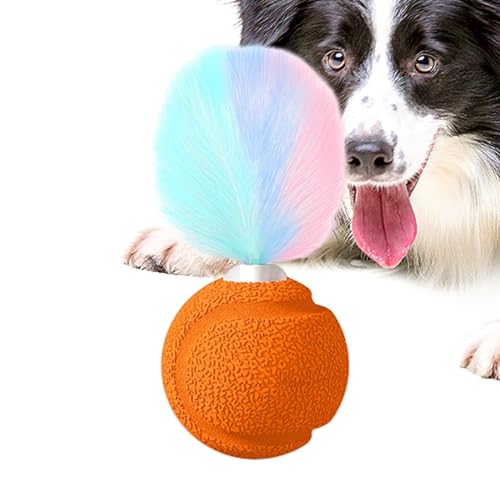 Ball mit Federn - Kätzchen Spielzeug Ball mit Geräusch,Federnder Interaktiver Spaß Spielzeug Gegen Langeweile Für Innen Außen Katzen Kätzchen Aktivität Ball mit Federn - Kätzchen Spielzeug Ball mit Geräusch,Federnder Interaktiver Spaß Spielzeug Gegen Langeweile Für Innen Außen Katzen Kätzchen Aktivität von Moxeupon