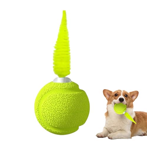 Moxeupon Federball Katzen Spielzeug - Interaktiver Ball Mit Klang Für Kätzchen - Hüpfendes Spielzeug Zur Bewegung Und Unterhaltung Gegen Langeweile Für Wohnungskatzen Moxeupon Federball Katzen Spielzeug - Interaktiver Ball Mit Klang Für Kätzchen - Hüpfendes Spielzeug Zur Bewegung Und Unterhaltung Gegen Langeweile Für Wohnungskatzen von Moxeupon
