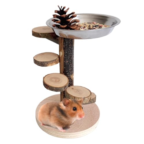 Moxeupon Hamster Leiter Für Käfig | Nagerleiter aus Holz mit Spielplatz für Käfigausstattung - Kletter- und Bewegungsspielzeug für Kleintiere wie Chinchilla, Eichhörnchen und Rennmäuse zur Moxeupon Hamster Leiter Für Käfig | Nagerleiter aus Holz mit Spielplatz für Käfigausstattung - Kletter- und Bewegungsspielzeug für Kleintiere wie Chinchilla, Eichhörnchen und Rennmäuse zur von Moxeupon