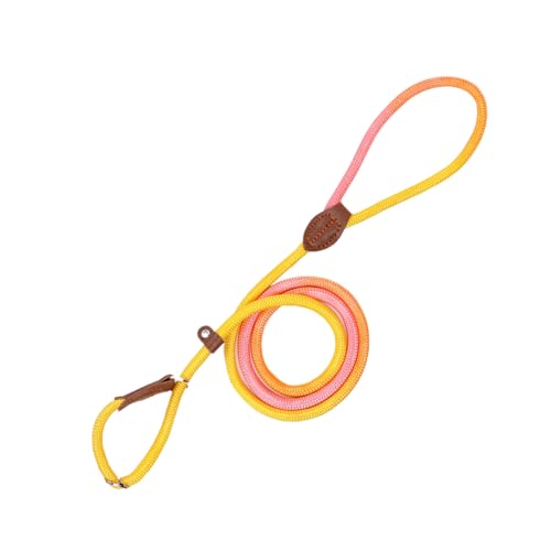 Moxeupon Haustiergurt für Hunde, Hundegurt - Welpen Walk -Gurt Nylon Seil ohne Zug - Anti-Slip-Hochfest im Freien kleine mittelgroße Hundezubehör zum Gehen, Camping von Moxeupon