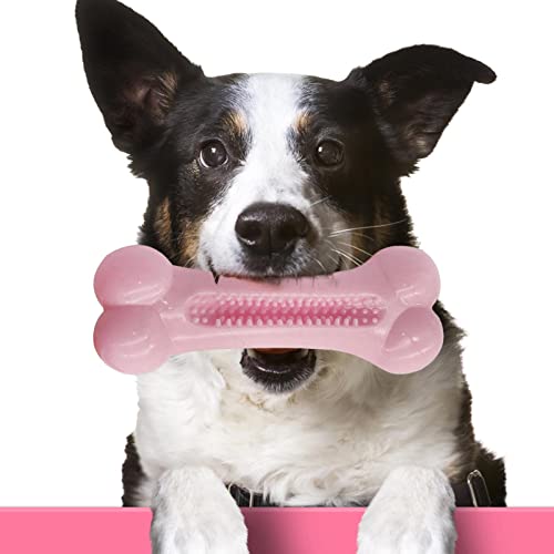 Moxeupon Kauspielzeug für Welpen | Zahnreinigungsspielzeug für Haustiere,Interaktives Haustier-Kauspielzeug für Zähneknirschen bei kleinen, mittleren und großen Rassen von Moxeupon