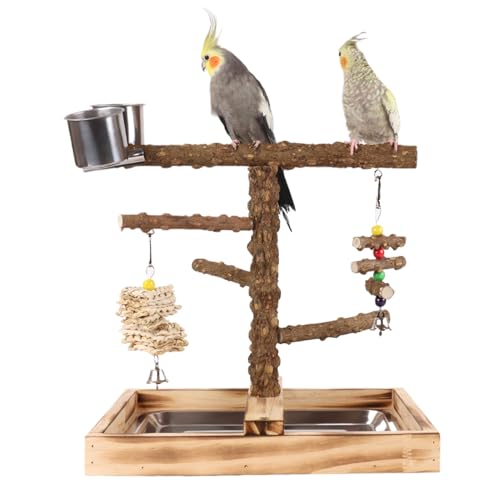 Moxeupon Vogel Sitzstange - Nymphensittich Spielplatz Mit 2 Futterbehältern,Kaufsicheres Wellensittich-Spielgerüst Mit Spielstand-Spielzeug Für Fütterung, Training & Drinnen/Draußen Aktivitäten von Moxeupon