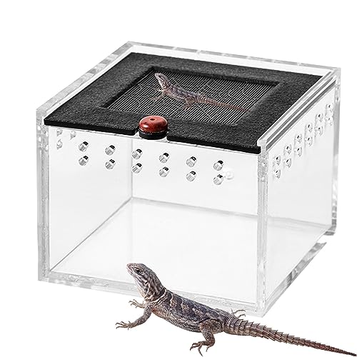 Reptilien-Box-Hülle,Lebensraum für Schildkröten - Eidechsenkäfig, Reptilienterrarium und Gehege, Mini-Haustiergehege, tragbarer Tierlebensraumkäfig, Reptilienfütterungsbox aus Acryl für oxeupon von Moxeupon