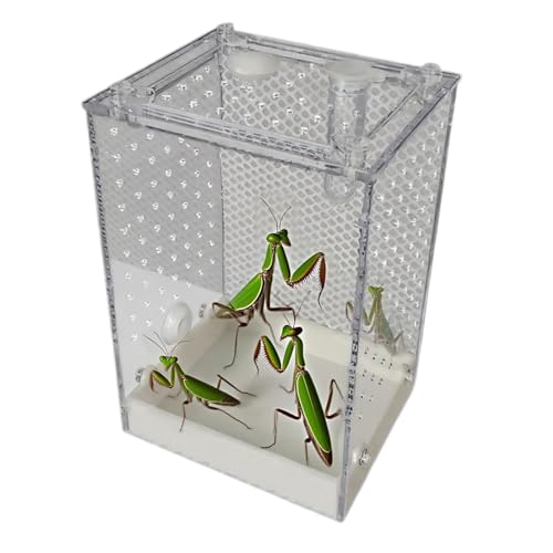 Springspinnen Terrarium | Transparentes Insekten Terrarium - Abnehmbare Spinnenzuchtbox Für Ameisen Grillen Kakerlaken Käfer Zoo Innen Außen von Moxeupon