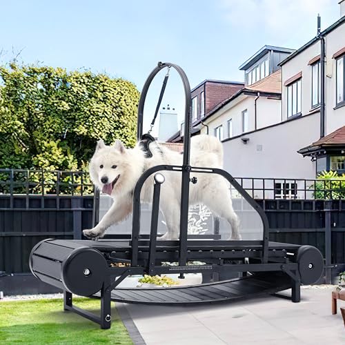 Hunde-Laufband für große/mittelgroße Hunde, verstellbare Rampe für Hunde, Laufmaschine mit Schrittzähler für Bewegung, gesundes und passendes Haustierleben, für den Innenbereich bis zu 136 kg von Moysoon