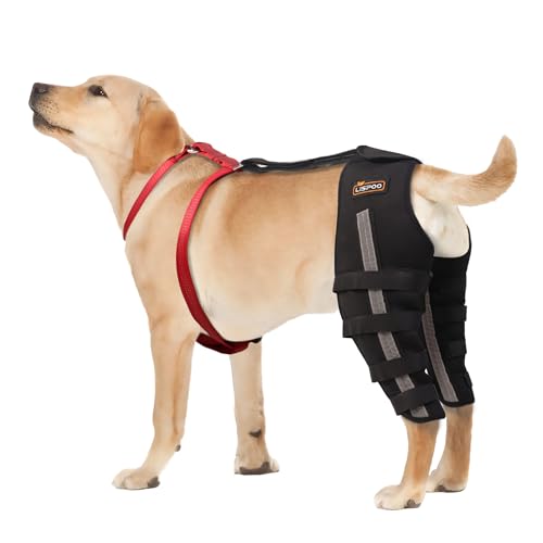 Moysoon Dog Acl Brace for Rear Leg,Dog Knee Brace for Torn Acl Hind Leg,Luxating Patella,Cruciate Ligament,Dog Acl Knee Brace Support Back Leg for Relieve Joint Pain and Muscle Sore Both (L) von Moysoon