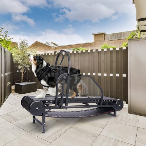 Moysoon Hundelaufband für große Hunde, mit Timer, verstellbare Neigung, Hunde-Slatmill für Gesundheit und Bewegung, geeignet für Hundeübungen, für den Innenbereich bis zu 227kg (schwarz) von Moysoon