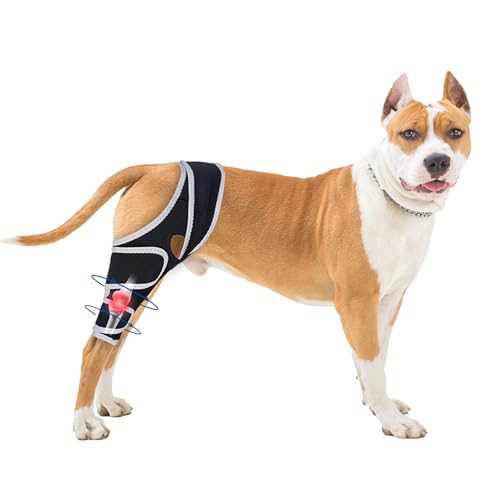 Moysoon Verstellbare Beinbandage für Wärme und Unterstützung – Kniebandage für Hunde mit Kreuzbandriss im Hinterbein, universelle Kniebandage für vierbeinige Hunde. (S) von Moysoon
