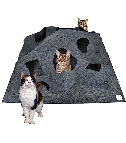 Moyubath Katzenspielzeug und Kratzmatte, Spielmatte für Katzen, Interaktive Trainingsmatte, Katzenteppich Cat Playground Dunkelgrau von Moyubath