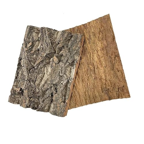 MplehDa Korkrinde Rückwand für Terrarium, 2 Stück Natürliche Reptilien-Klettermatte, 30x20cm Cork Bark Backdrop Reptile Climbing Mat für Spinne, Gecko, Eidechse, Chamäleon von MplehDa