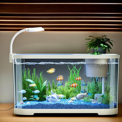 Aquarium Starter-Set | Betta Fischbecken Für Einsteiger | Fischschale Für Kampffische | Dekoratives Schreibtischbecken Für Kampffisch, Schildkröte, & Wasserbewohner 30x20x19cm von Mppchhn