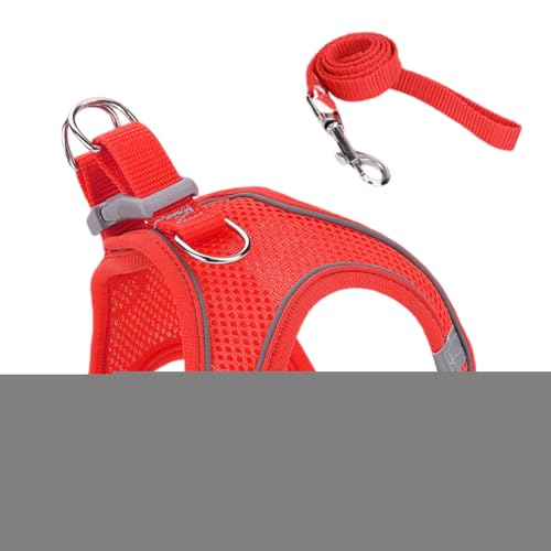 Mppchhn Katzengeschirr, verstellbares Katzengeschirr, für kleine, mittelgroße und große Haustiere, für Wandern, Rucksack, Training, Outdoor, Camping Mppchhn Katzengeschirr, verstellbares Katzengeschirr, für kleine, mittelgroße und große Haustiere, für Wandern, Rucksack, Training, Outdoor, Camping von Mppchhn