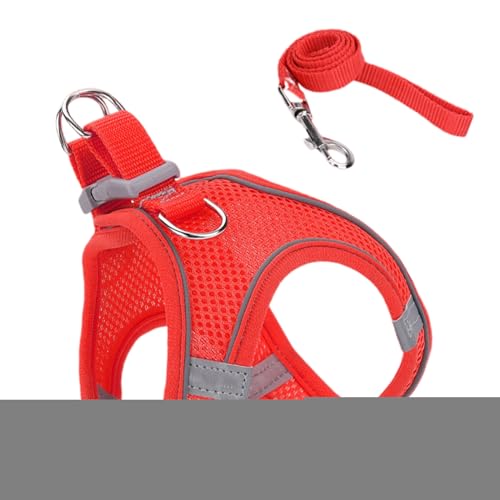 Mppchhn Katzengeschirr – weiches reflektierendes Netzweste, Geschirr und Leine – Welpen-Weste, Halsband, Haustierzubehör für Sicherheitstraining, Reisen, Wandern, Rucksack, Outdoor-Abenteuer Mppchhn Katzengeschirr – weiches reflektierendes Netzweste, Geschirr und Leine – Welpen-Weste, Halsband, Haustierzubehör für Sicherheitstraining, Reisen, Wandern, Rucksack, Outdoor-Abenteuer von Mppchhn