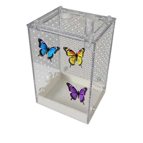 Mppchhn Springspinnen Terrarium - Transparentes Insekten Terrarium - Abnehmbares Innenterrarium für Spinnen Gottesanbeterinnen Skorpione Grillen in Bildungsumgebung für alle Altersgruppen von Mppchhn