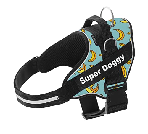 MR. DOGGY Personalisiertes Hundegeschirr - reflektierendes Geschirr für Hunde - inklusive 2 Namensschilder - alle Größen - hochwertig und robust (Blue Banana, M 13-22KG) von Mr. Doggy