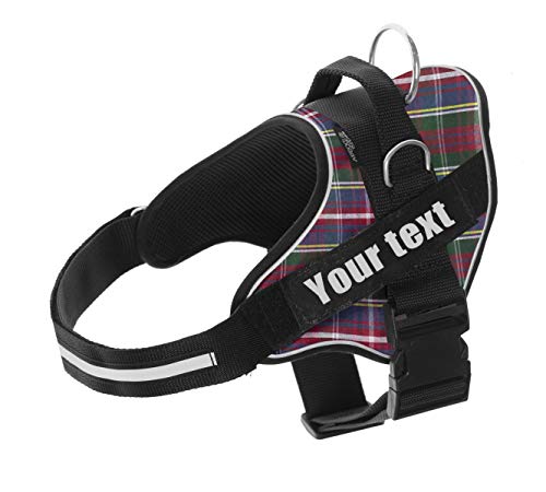 MR. DOGGY Hundegeschirr, personalisierbar, mit Namen, klein, mittel und groß, reflektierend, robust und langlebig, inklusive 2 austauschbaren Etiketten (Scottish, M 13-22KG) von Mr. Doggy