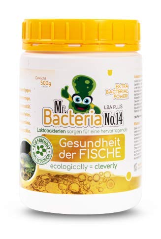 Mr.Bacteria No.14 Laktobakterien Sorgen für eine hervorragende Gesundheit DER Fische 500g - 1 Stück von Mr.Bacteria
