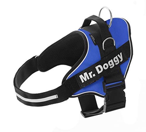 Personalisiertes Hundegeschirr - Reflektierendes und sicheres Hundegeschirr - Enthält 2 Namensschilder - Klein, Mittel und Groß - Qualität und Beständigkeit (L 20-35KG, Blau) von Mr.Doggy