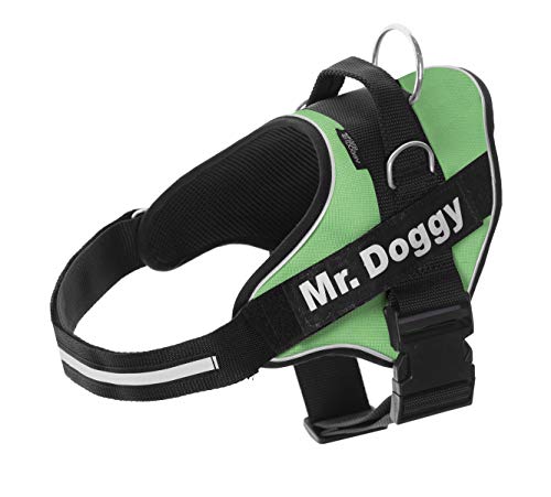 Personalisiertes Hundegeschirr - Reflektierendes und sicheres Hundegeschirr - Enthält 2 Namensschilder - Klein, Mittel und Groß - Qualität und Beständigkeit (L 20-35KG, Grün) von Mr.Doggy