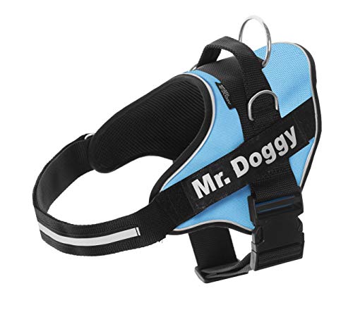 Personalisiertes Hundegeschirr - Reflektierendes und sicheres Hundegeschirr - Enthält 2 Namensschilder - Klein, Mittel und Groß - Qualität und Beständigkeit (L 20-35KG, Hellblau) von Mr.Doggy