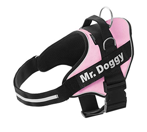 Personalisiertes Hundegeschirr - Reflektierendes und sicheres Hundegeschirr - Enthält 2 Namensschilder - Klein, Mittel und Groß - Qualität und Beständigkeit (L 20-35KG, Rose) von Mr.Doggy