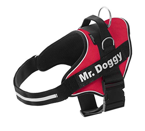 MR. DOGGY Personalisiertes Hundegeschirr - Reflektierendes und sicheres Hundegeschirr - Enthält 2 Namensschilder - Klein, Mittel und Groß - Qualität und Beständigkeit (Rot, XL 30-45KG) von Mr. Doggy