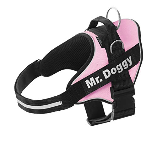 MR. DOGGY Personalisiertes Hundegeschirr - Reflektierendes und sicheres Hundegeschirr - Enthält 2 Namensschilder - Klein, Mittel und Groß - Qualität und Beständigkeit (Rose, XS 3-7,5KG) von Mr. Doggy