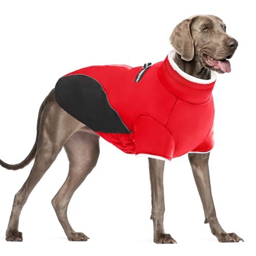 Mrcopetal Wintermantel - Hundejacke mit Fleecefutter, Winddicht & Reflektierend, Rollkragen-Schneeanzug mit Geschirr für kleine bis große Hunde, Rot, XXL Mrcopetal Wintermantel - Hundejacke mit Fleecefutter, Winddicht & Reflektierend, Rollkragen-Schneeanzug mit Geschirr für kleine bis große Hunde, Rot, XXL von Mrcopetal