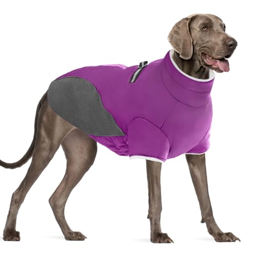 Mrcopetal Wintermantel für Hunde, kaltes Wetter, warme Fleece-gefütterte Kleidung, winddicht, reflektierend, Rollkragen-Schneeanzug mit Geschirr, Weste für kleine, mittelgroße und große Hunde, Lila, Mrcopetal Wintermantel für Hunde, kaltes Wetter, warme Fleece-gefütterte Kleidung, winddicht, reflektierend, Rollkragen-Schneeanzug mit Geschirr, Weste für kleine, mittelgroße und große Hunde, Lila, von Mrcopetal