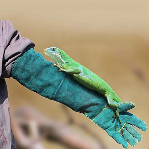 Mrisata Haustier-Handschuhe, Segeltuch, Blau, Haustier-Reptilien-Training, Anti-Biss-Verlängerungsschutz-Handschuhe für Varanid-Schlangenhunde, Katzenblau (Blau) von Mrisata