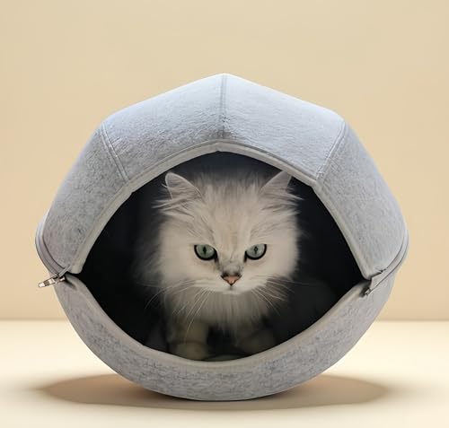 2-in-1 gemütliches Katzenbett aus Filz für Indoor-Katzen, faltbares Versteck für Katzen, Nest Haus, Peekaboo Kätzchen, Spielzelt, alle Jahreszeiten, kratzfest, abnehmbar und waschbar, mit abnehmbarem 2-in-1 gemütliches Katzenbett aus Filz für Indoor-Katzen, faltbares Versteck für Katzen, Nest Haus, Peekaboo Kätzchen, Spielzelt, alle Jahreszeiten, kratzfest, abnehmbar und waschbar, mit abnehmbarem von Mrocioa