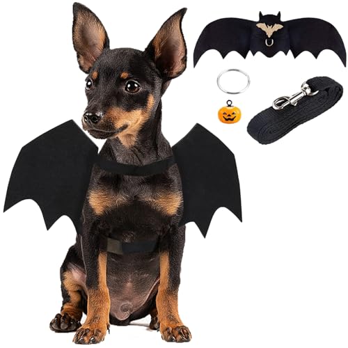 Haustier Fledermausflügel,Hund Fledermaus Kostüme mit 2Pcs Pumpkin Bell,Katze Fledermaus Kostüm,Halloween Katze Kleidung,Halloween Haustier Kostüm,Haustiere Cosplay-Kostüm(Schwarz) von Mrracxy