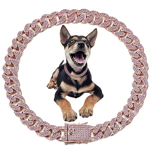 Diamond Hundekragen 10 Zoll Luxus Bling Hundehalsband 12, 5 mm breite Katzenkettenkragen zarte Halskette mit Lock -Schnalle -Metallschmuckzubehör für Hunde und Katzen Diamond Hundekragen 10 Zoll Luxus Bling Hundehalsband 12, 5 mm breite Katzenkettenkragen zarte Halskette mit Lock -Schnalle -Metallschmuckzubehör für Hunde und Katzen von Mskmnkot
